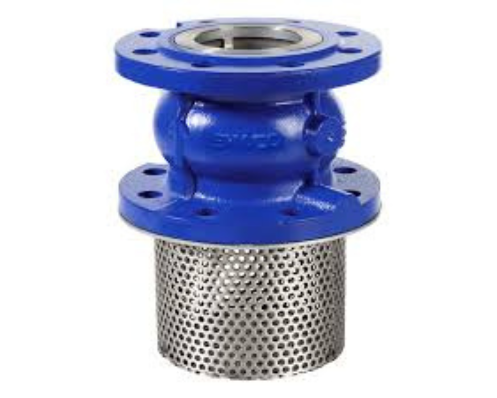 Foot Valve (Flange Type) Foot Valve (Flange Type)
